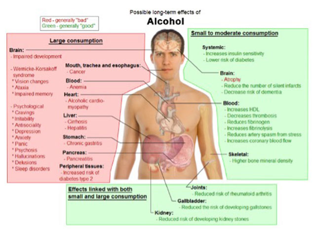 balantia articles alkool kai ygeia mporei na exei thesh se mia isorrophmenh diatrofh 01