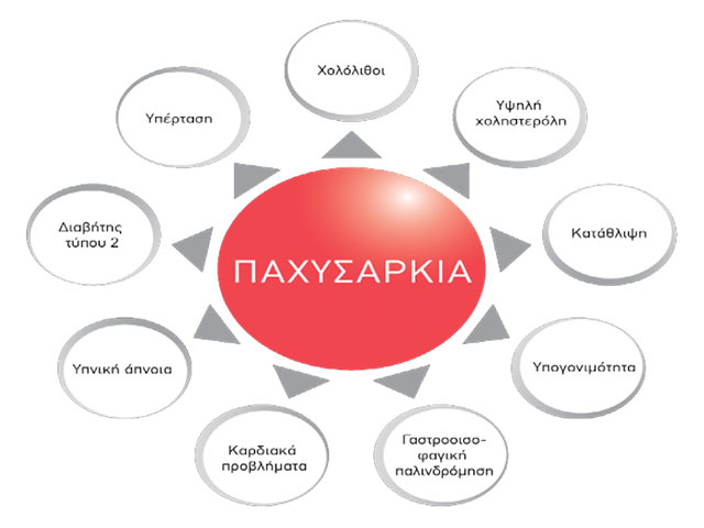 balantia articles paxysarkia diabhths typou 2 ti symbainei pragmatika sto swma 01