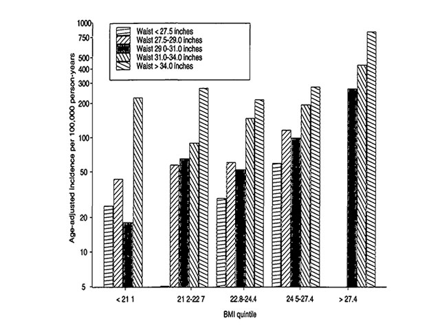 balantia articles paxysarkia diabhths typou 2 ti symbainei pragmatika sto swma 04
